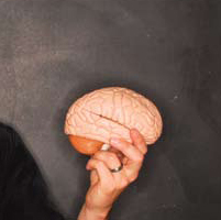 Psychology as Commodity