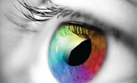 Science of the Senses