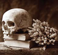 A painting of a human skull resting on two books next to a collection of small flowers