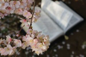 Books: Winter, Spring and Summer 2012
