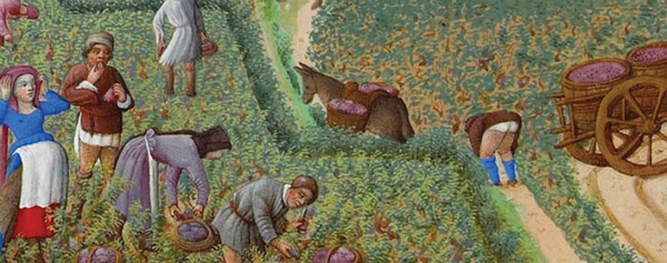 Ben Breen, history graduate student, used the month of September as depicted in the Très Riches Heures du Duc de Berry (1412-4, France) to illustrate his post about the 5,000-mile trek of a Castilian diplomat along the Silk Road and his arrival in Samarkand in September 1404.