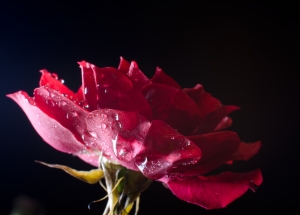 Q&A: Beauty and Social Justice