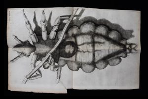Fate of the Book