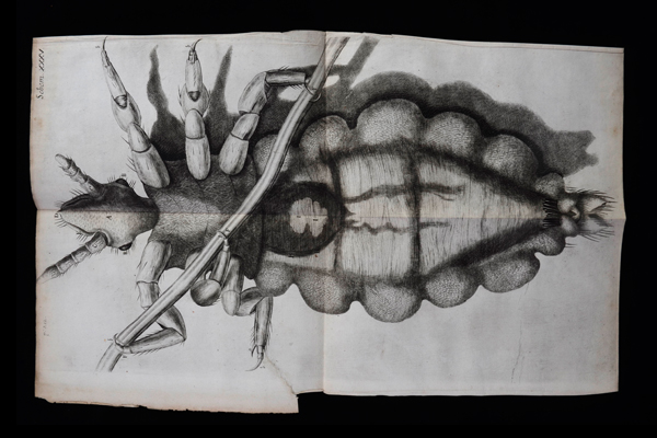 Fate of the Book