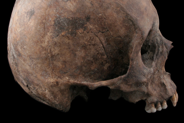 Ancient DNA Opens Aztec Cold Case