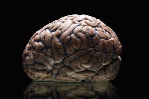 Brain Power