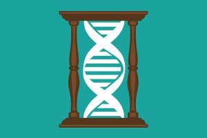 Genetic Influence on Intelligence Increases Over Time