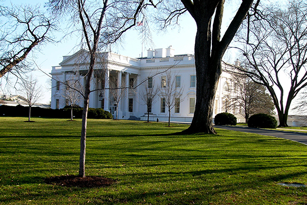 white house