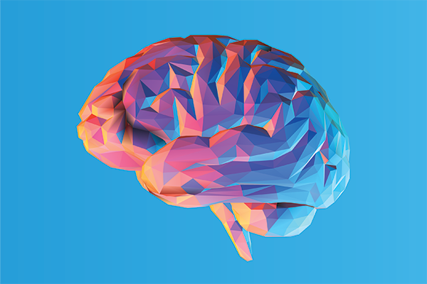 Grading Brain Health: How Educational Experiences Impact Cognitive Functioning Later in Life