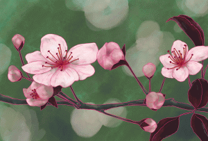 Books in Bloom