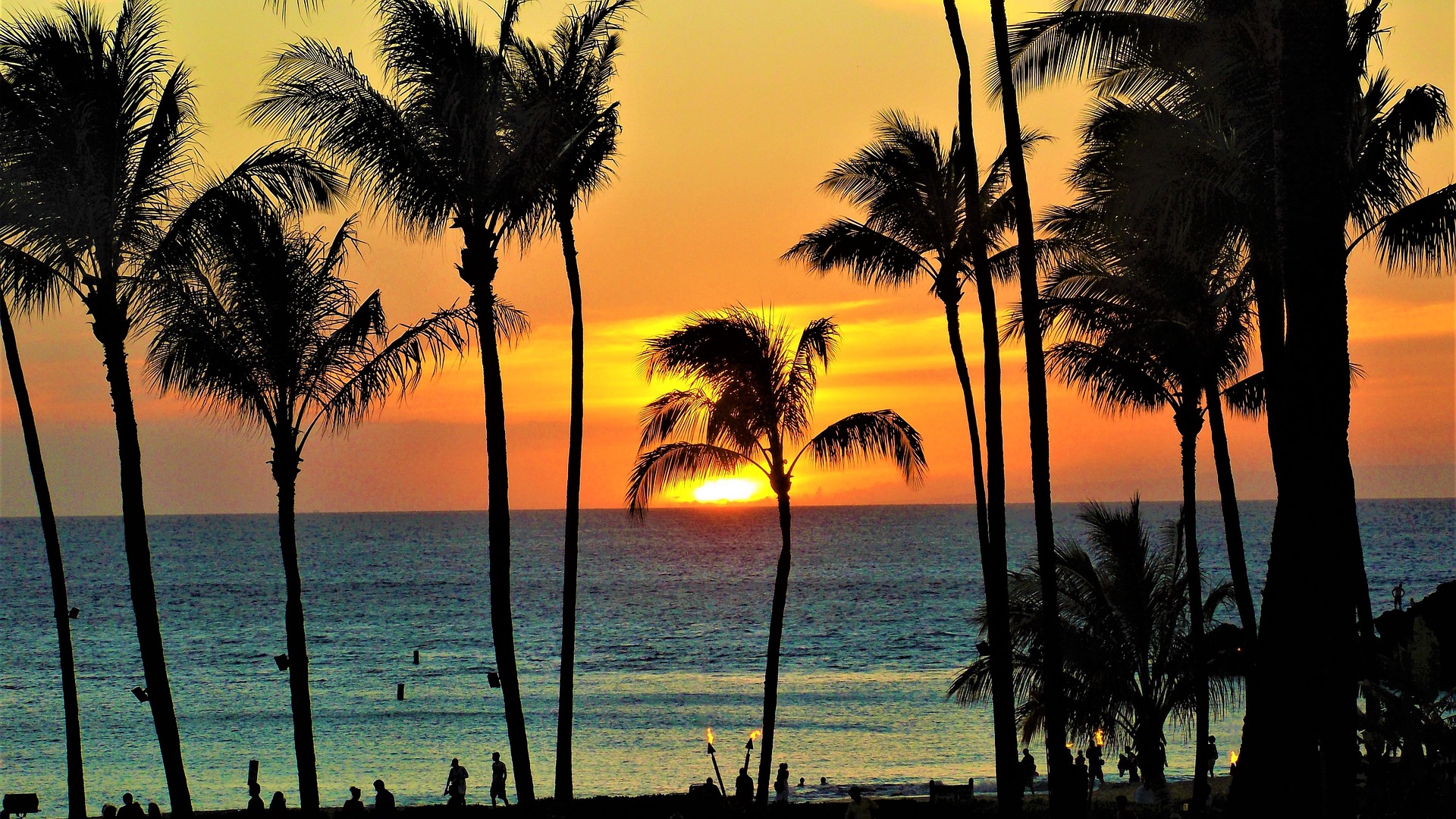 Why Do People in Hawaii Live 7 Years Longer than People in Mississippi?