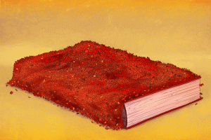 Leaf Through a Good Book