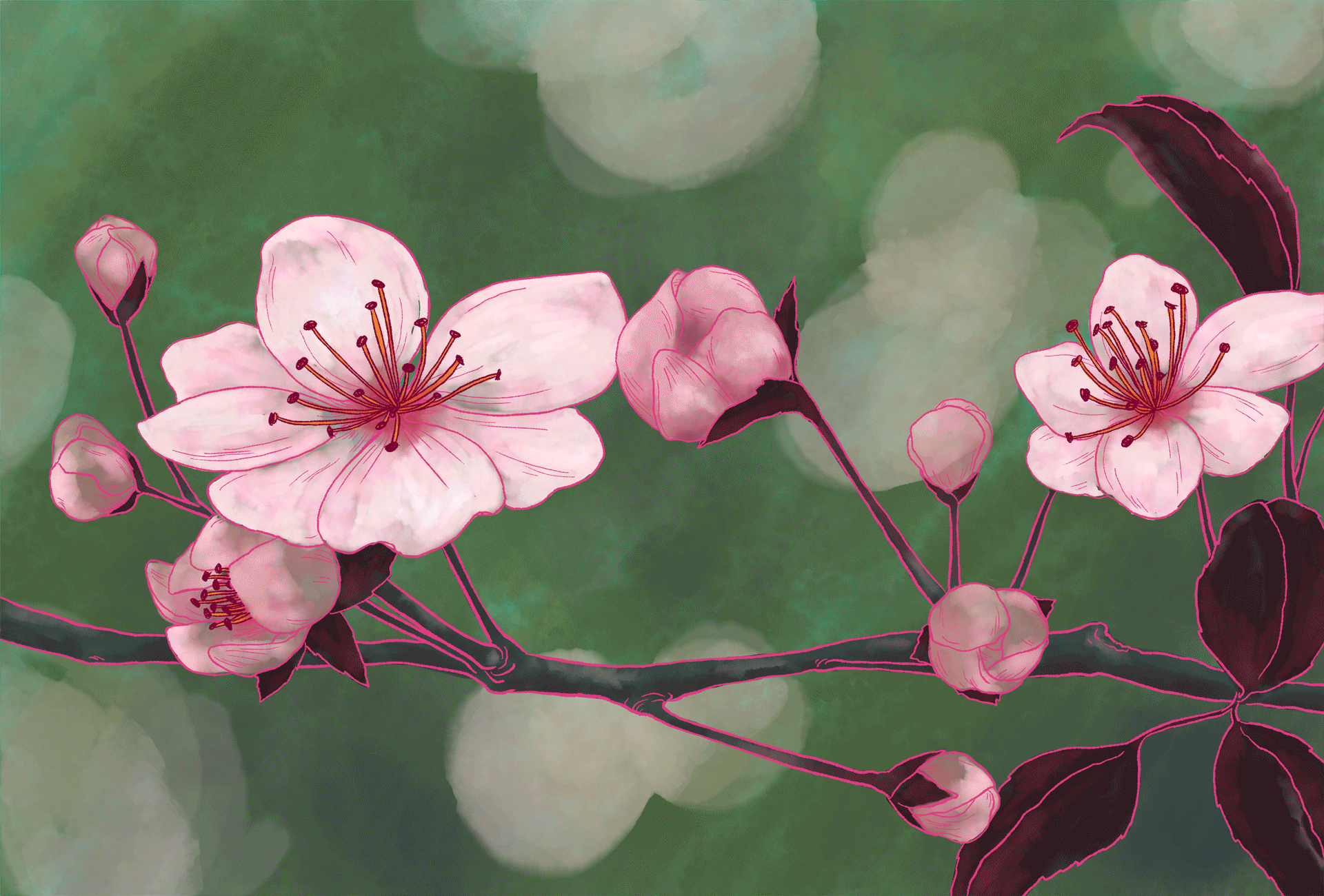 Spring Books Unfold