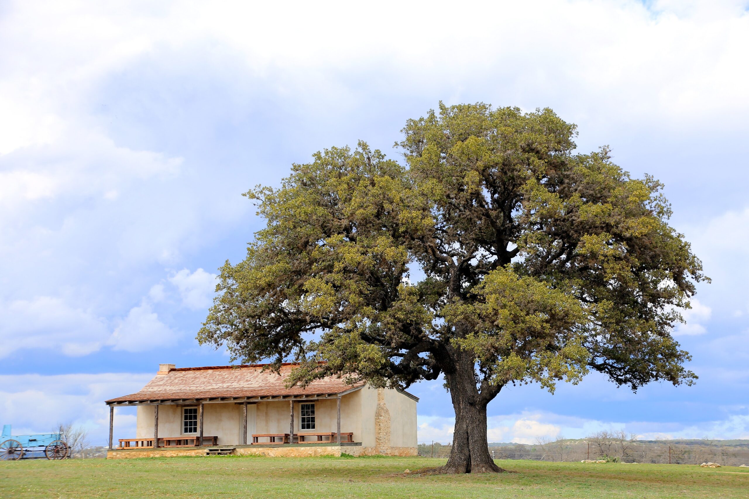 Study of Texas German Gets a Million-Dollar Boost