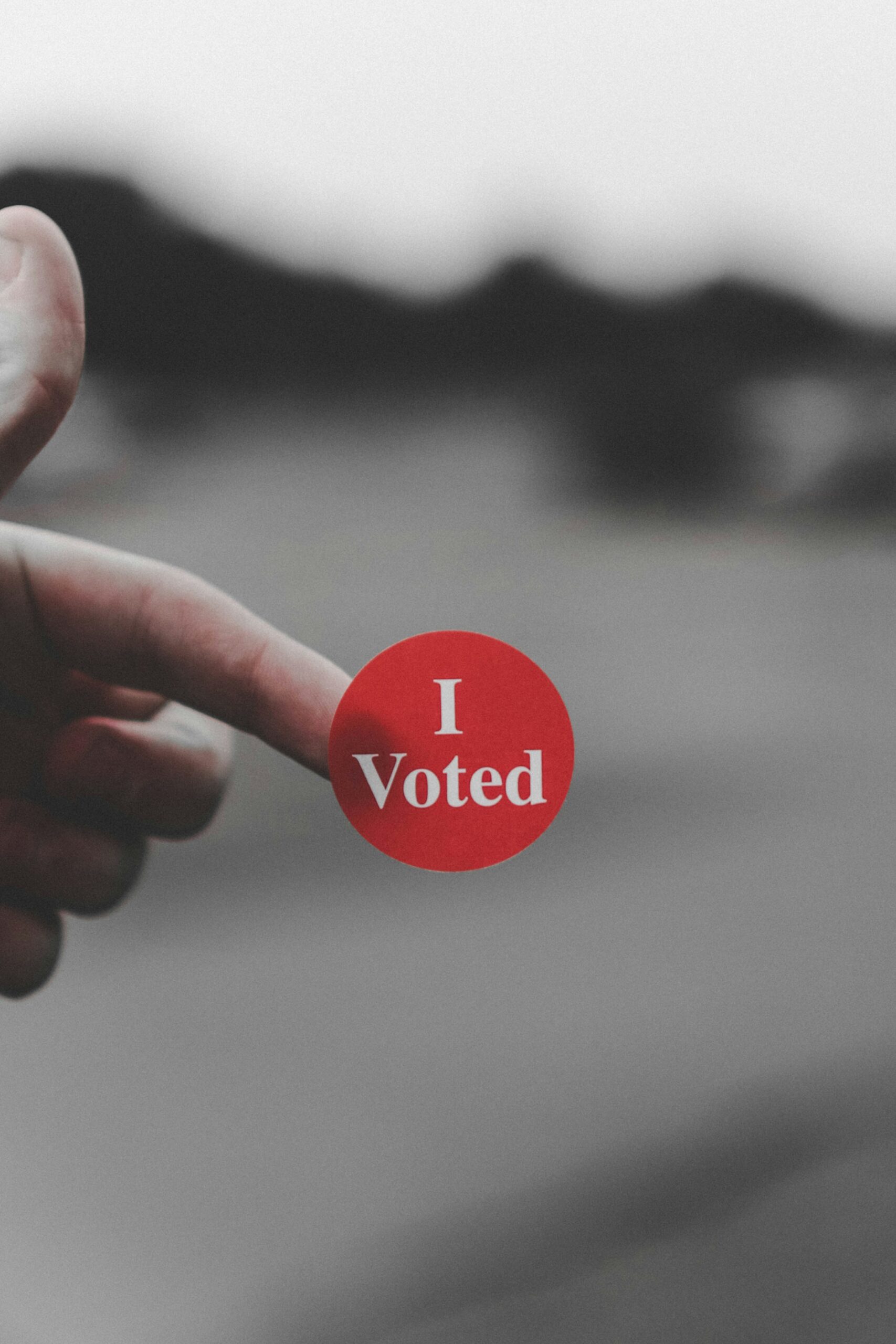 The Re-Enfranchised, in Theory and Practice
